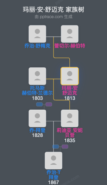 玛丽·安·舒迈克家族树全览