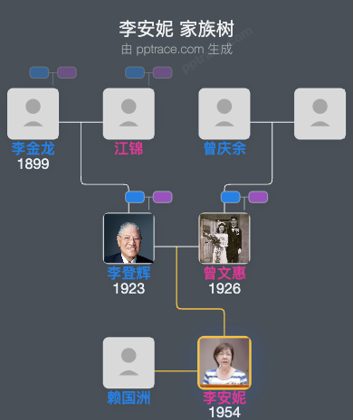 李安妮家族树全览