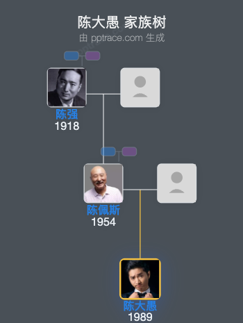 陈大愚家族树全览