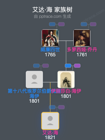 艾达·海家族树全览