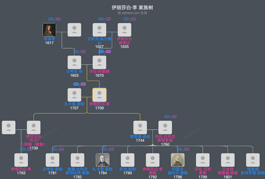 伊丽莎白·李家族树全览