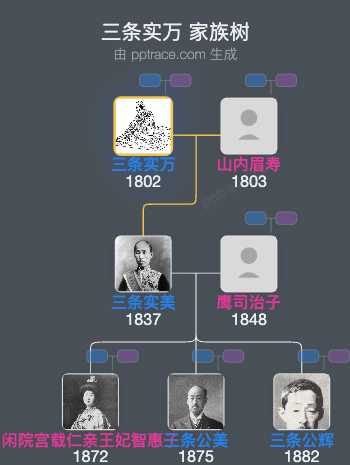 三条实万家族树全览
