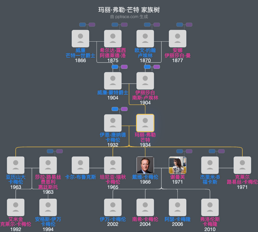 玛丽·弗勒·芒特家族树全览