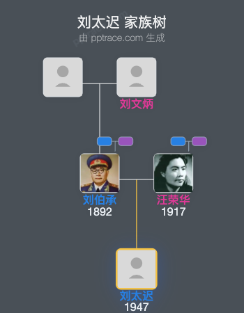 刘太迟 家族树全览