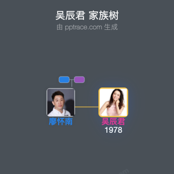 吴辰君 家族树全览