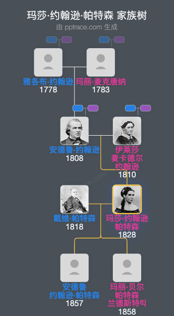 玛莎·约翰逊·帕特森家族树全览