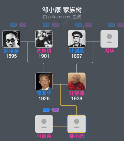 邹小康 家族树全览