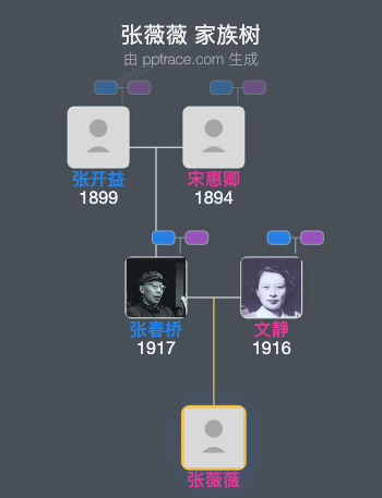 张薇薇 家族树全览