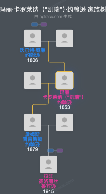 玛丽·卡罗莱纳（“凯瑞”）·约翰逊家族树全览