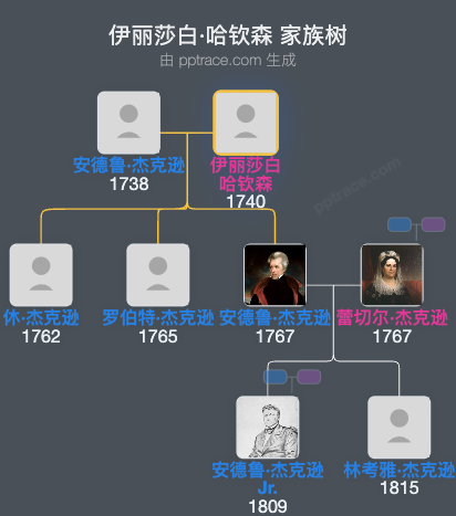 伊丽莎白·哈钦森家族树全览