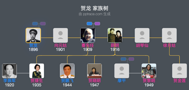 贺龙 家族树全览