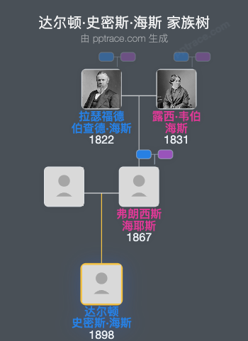 达尔顿·史密斯·海斯家族树全览