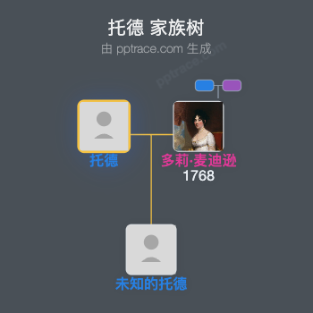 托德家族树全览