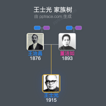 王士光 家族树全览