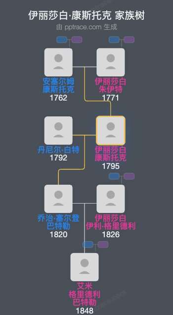 伊丽莎白·康斯托克家族树全览