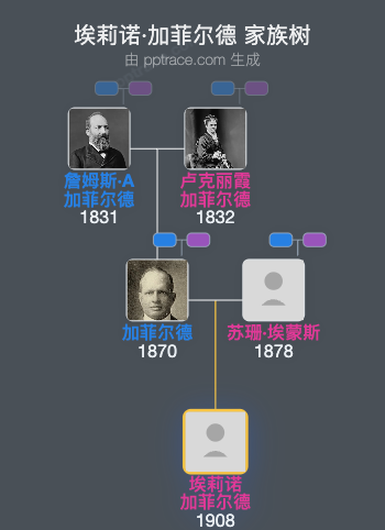 埃莉诺·加菲尔德家族树全览