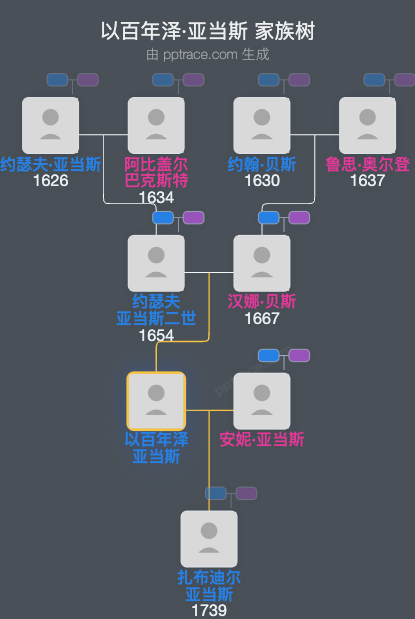 以百年泽·亚当斯家族树全览