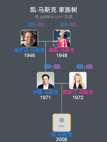 凯·马斯克 家族树全览