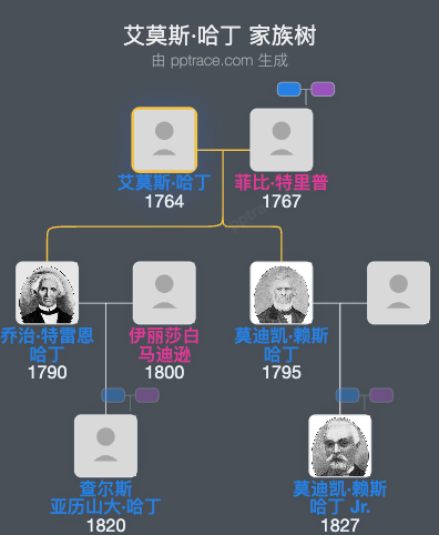艾莫斯·哈丁家族树全览