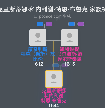 克里斯蒂娜·科内利谢·特恩·布鲁克家族树全览