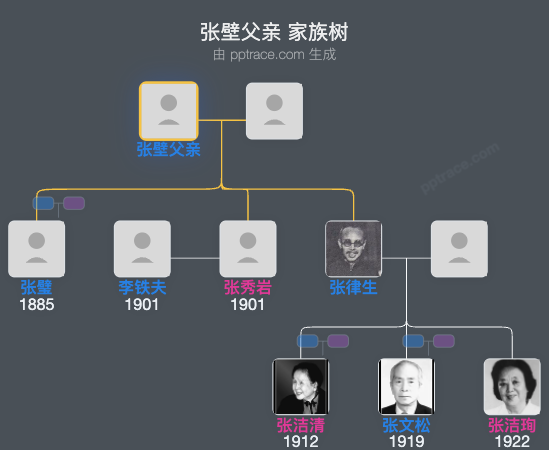 张壁父亲 家族树全览