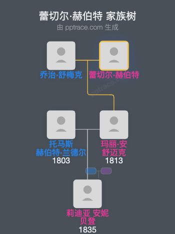 蕾切尔·赫伯特家族树全览