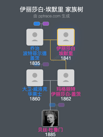 伊丽莎白·埃默里家族树全览