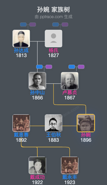 孙婉 家族树全览