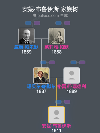 安妮·布鲁伊斯家族树全览