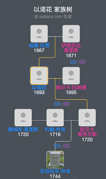 以诺花家族树全览