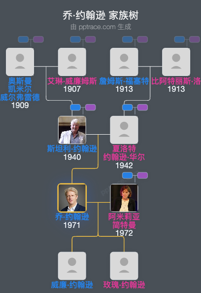 乔·约翰逊家族树全览