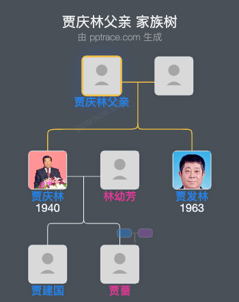 贾庆林父亲 家族树全览