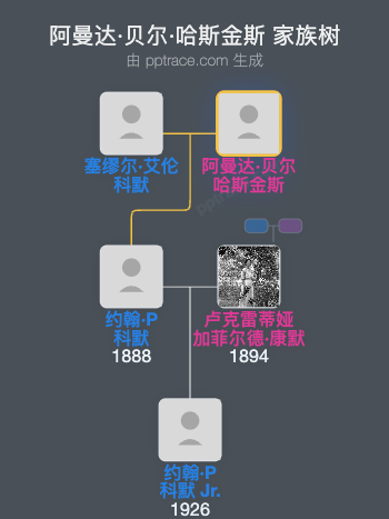 阿曼达·贝尔·哈斯金斯家族树全览
