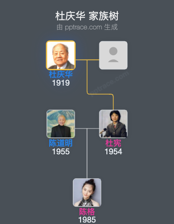 杜庆华 家族树全览