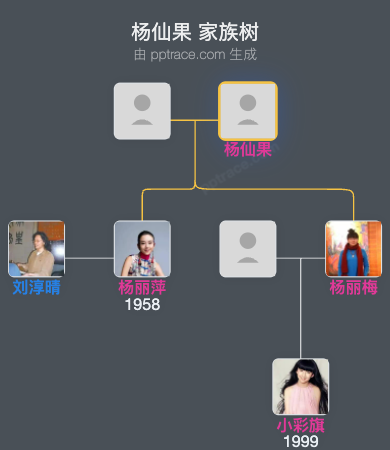 杨仙果 家族树全览