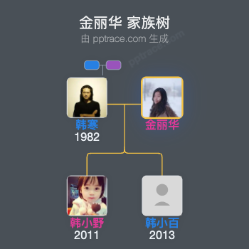 金丽华家族树全览