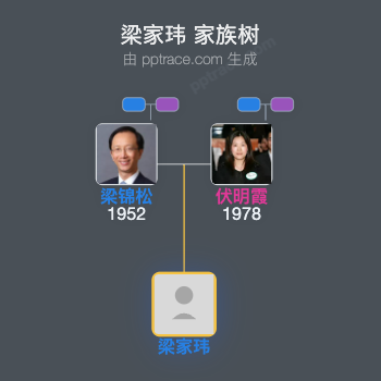 梁家玮 家族树全览