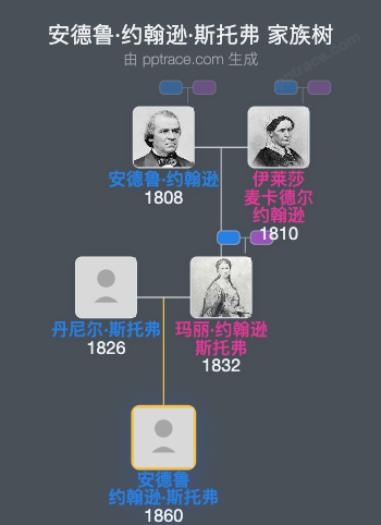 安德鲁·约翰逊·斯托弗家族树全览