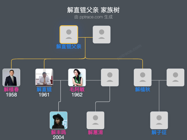 解直锟父亲 家族树全览