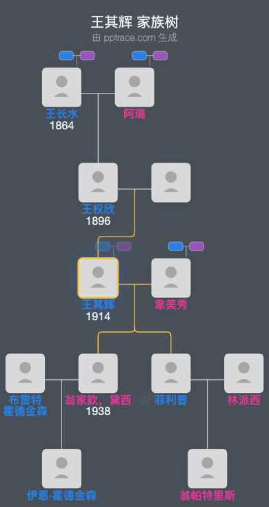 王其辉 家族树全览
