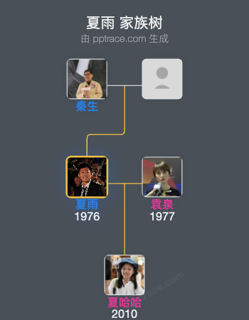夏雨 家族树全览