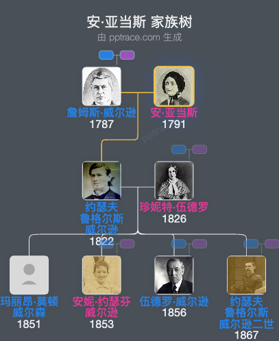 安·亚当斯家族树全览