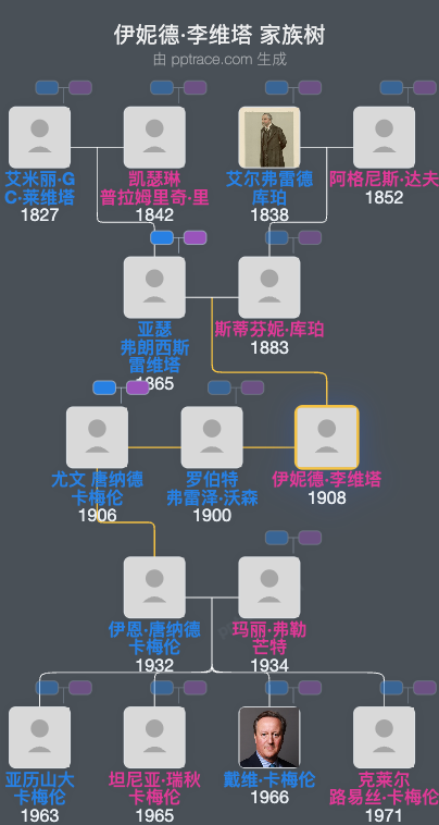 伊妮德·李维塔家族树全览