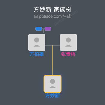 方妙新 家族树全览