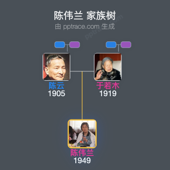 陈伟兰 家族树全览