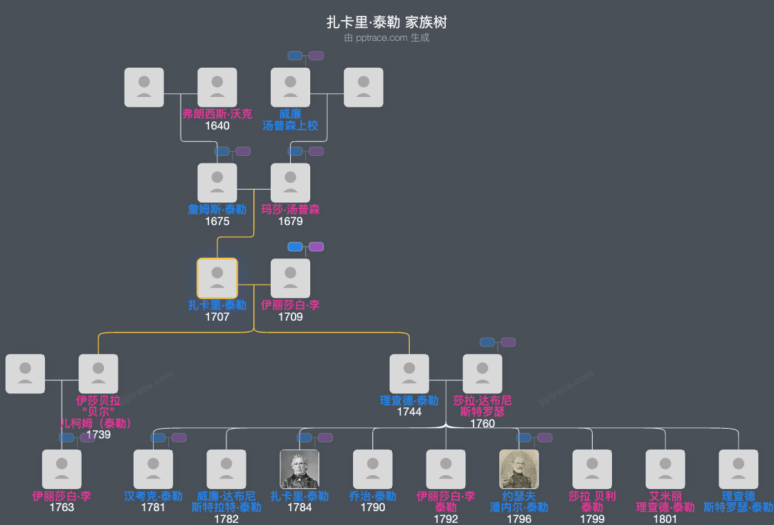 扎卡里·泰勒家族树全览