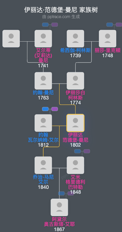伊丽达·范德堡·曼尼家族树全览