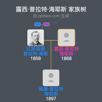 露西·普拉特·海耶斯家族树全览