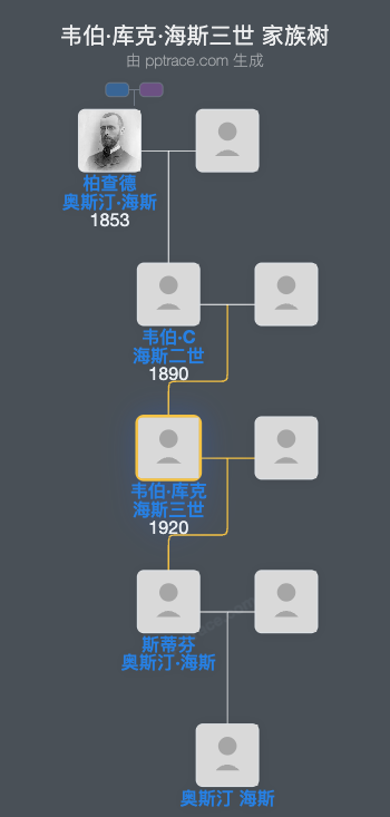 韦伯·库克·海斯三世家族树全览