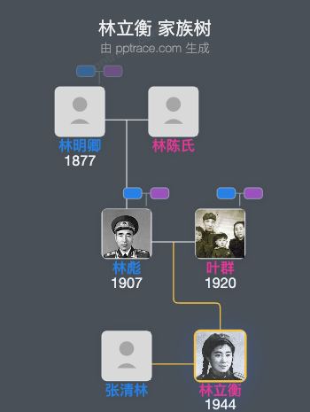 林立衡 家族树全览